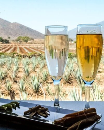 SAT Mexico DMC-company-retreat-tequila-jalisco-Mundo Cuervo-las animas (1)